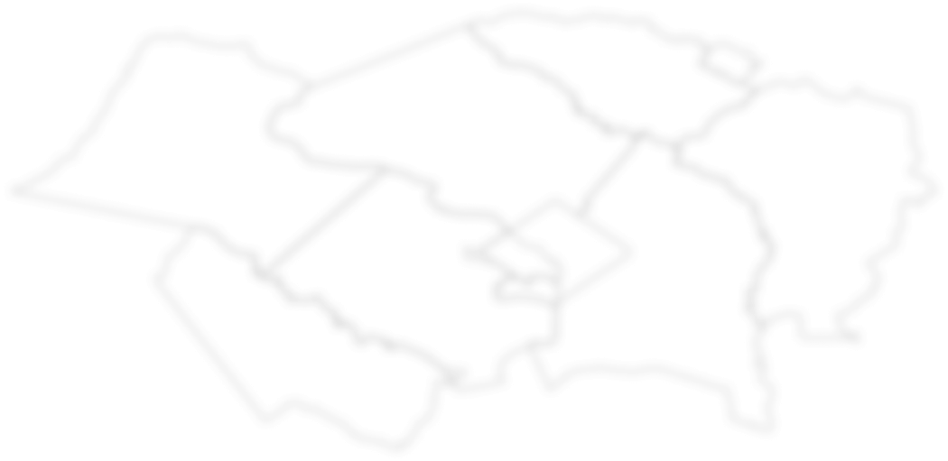 background shadow of the contact map
